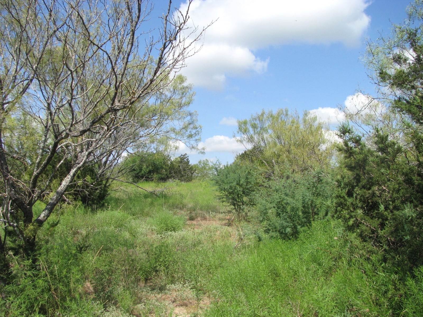 Lot 9 Ph 4 Pr 4212 Evant TX 76525