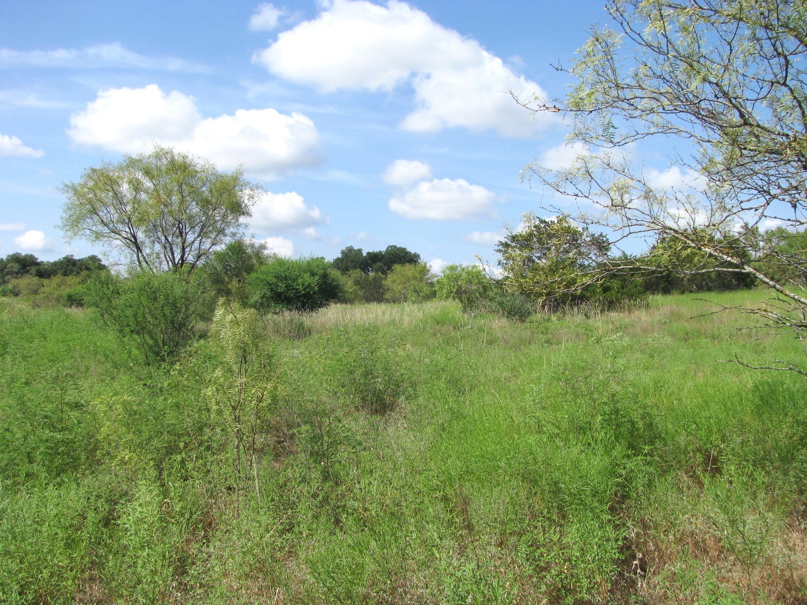 Lot 9 Ph 4 Pr 4212 Evant TX 76525