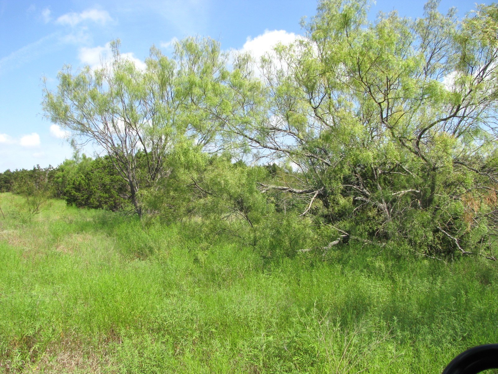 Lot 9 Ph 4 Pr 4212 Evant TX 76525