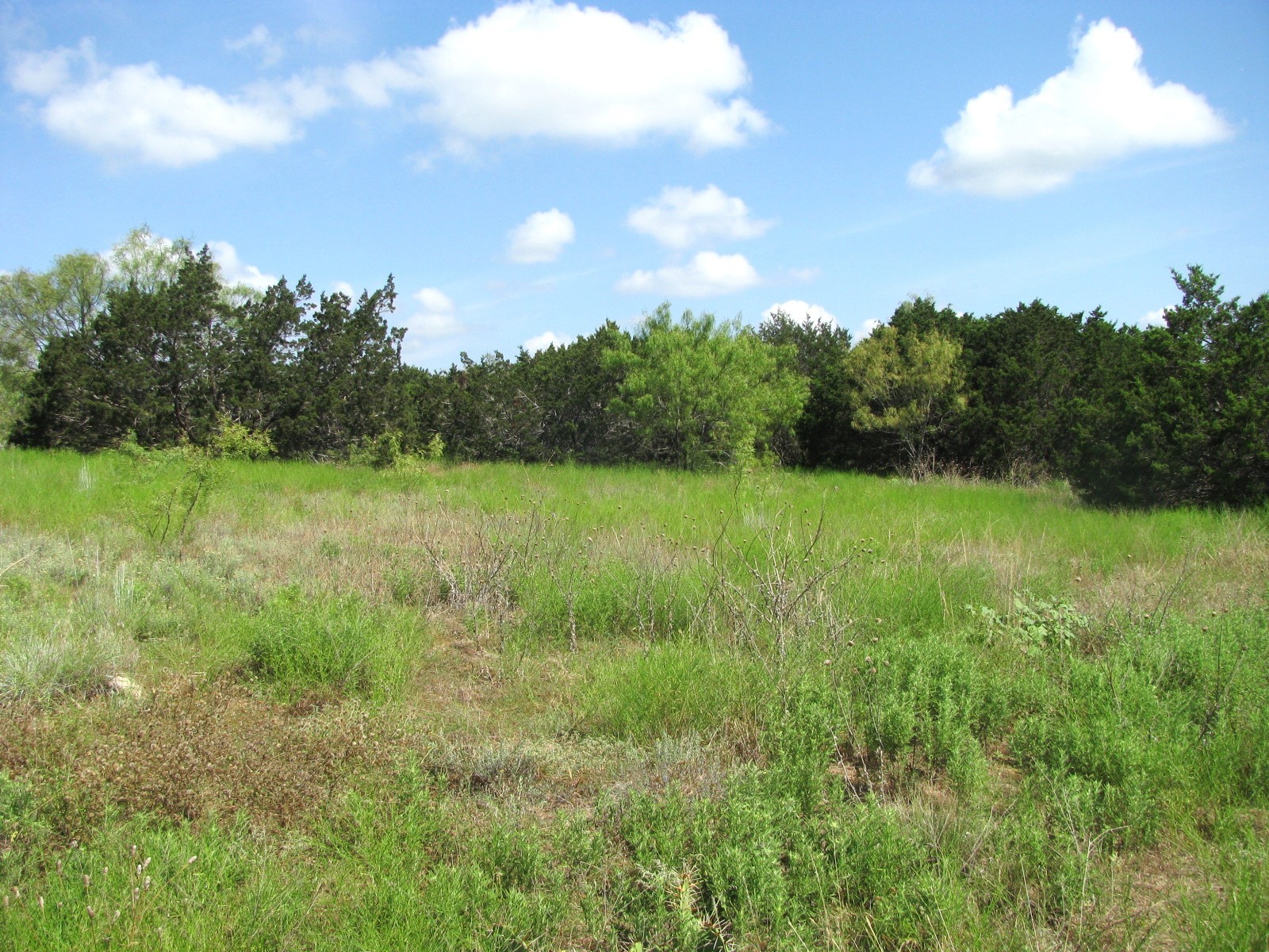 Lot 9 Ph 4 Pr 4212 Evant TX 76525