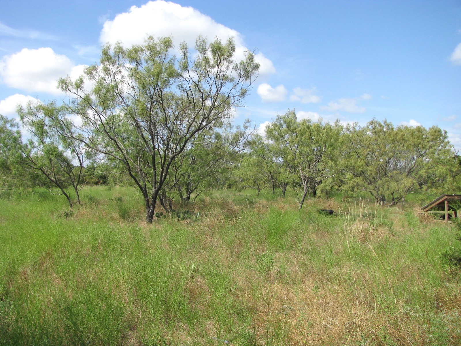 Lot 9 Ph 4 Pr 4212 Evant TX 76525