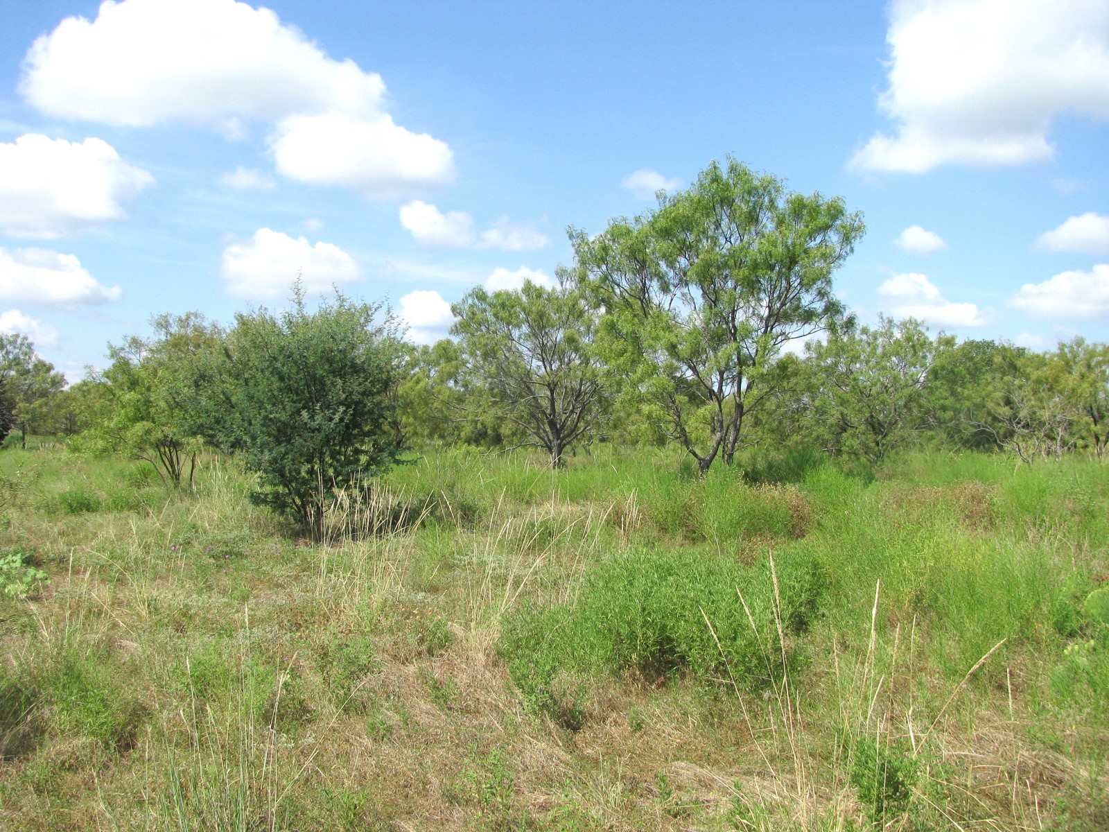 Lot 9 Ph 4 Pr 4212 Evant TX 76525