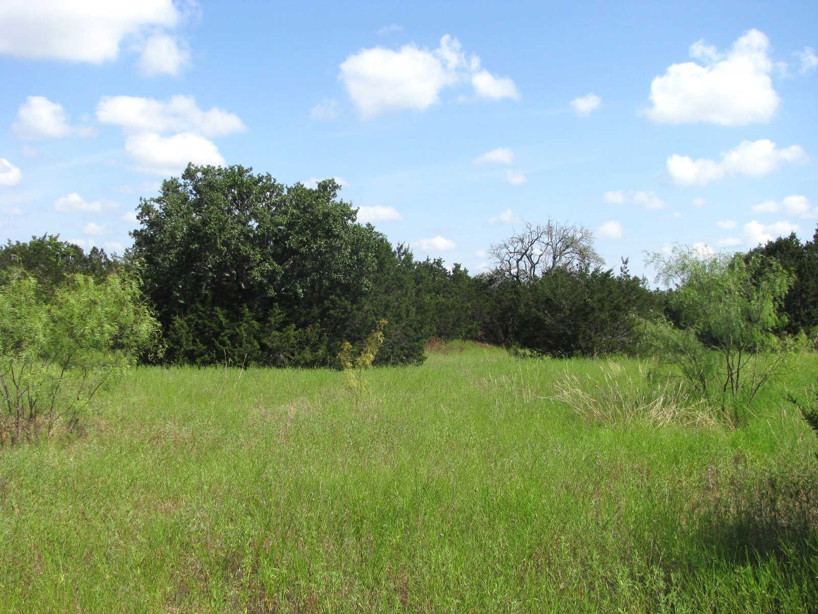 Lot 9 Ph 4 Pr 4212 Evant TX 76525