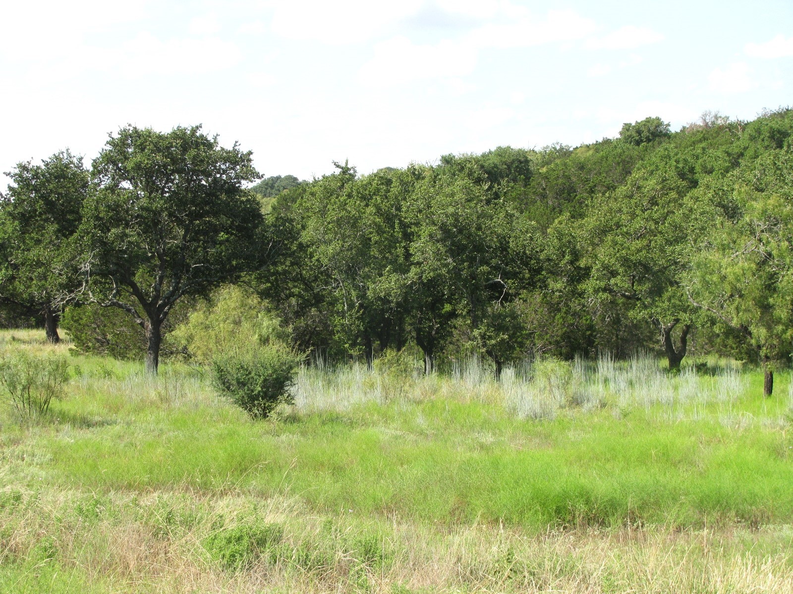 Lot 9 Ph 4 Pr 4212 Evant TX 76525