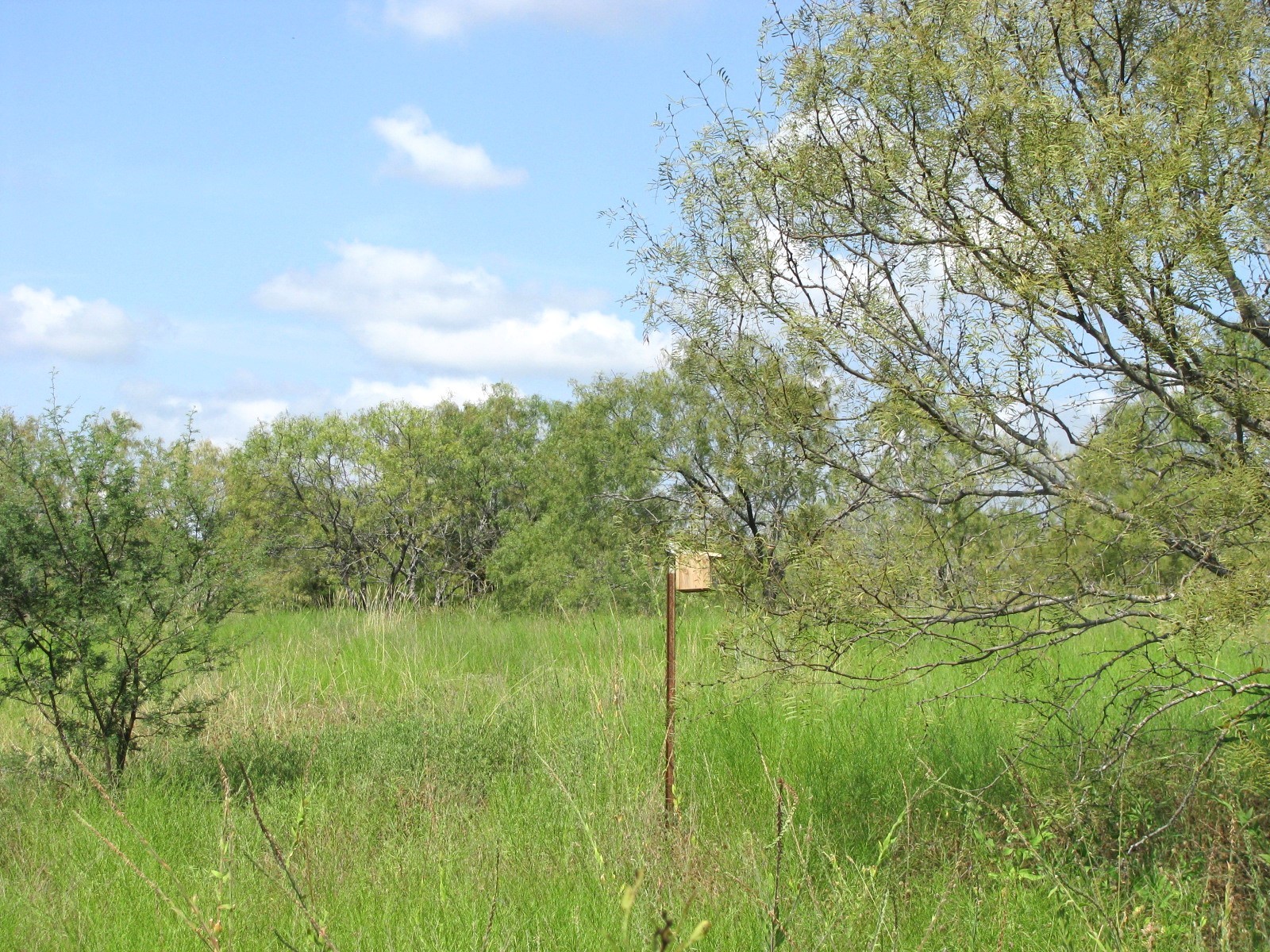 Lot 9 Ph 4 Pr 4212 Evant TX 76525