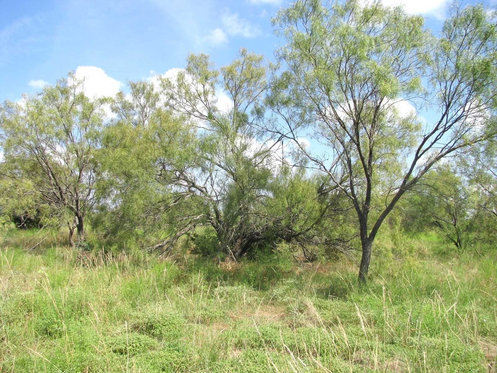 Lot 9 Ph 4 Pr 4212 Evant TX 76525