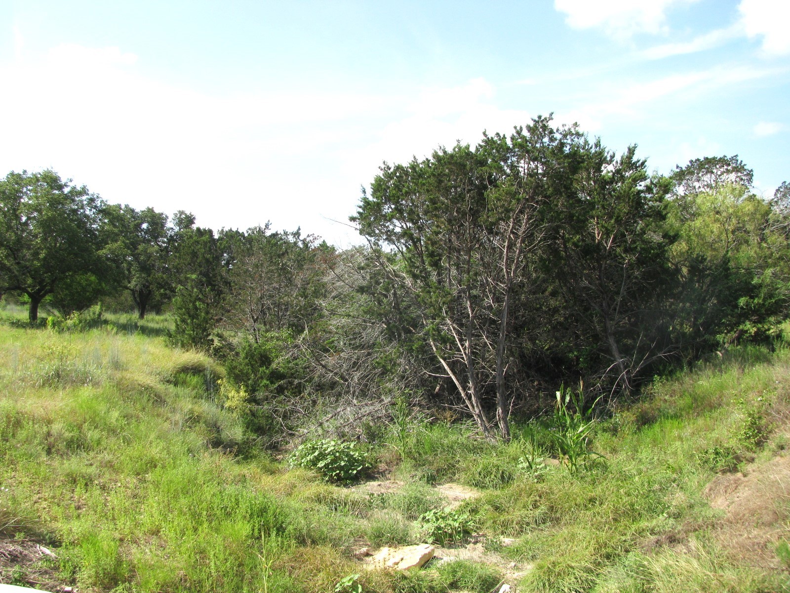 Lot 9 Ph 4 Pr 4212 Evant TX 76525