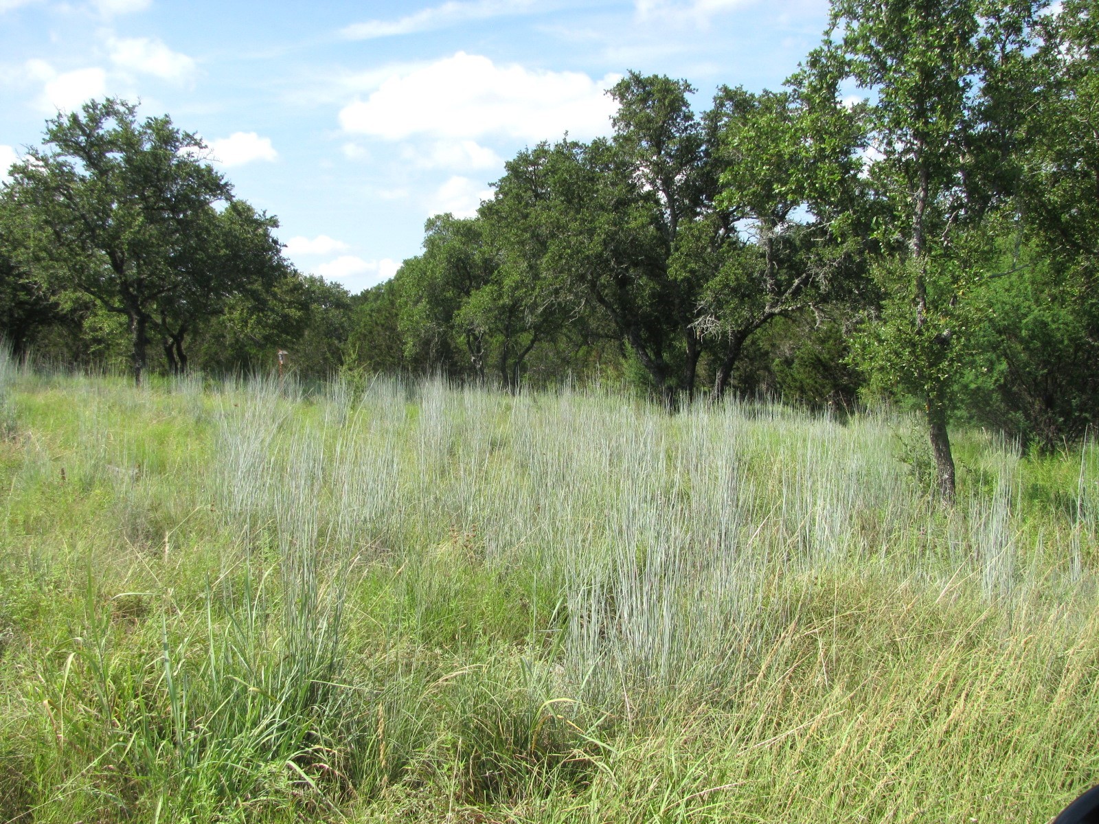 Lot 9 Ph 4 Pr 4212 Evant TX 76525