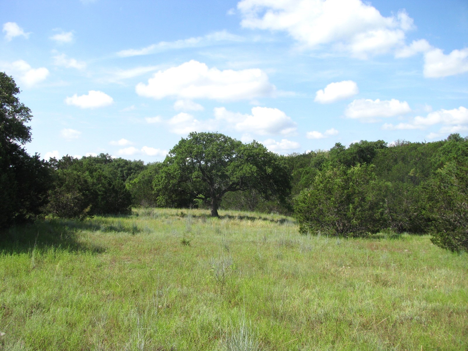 Lot 9 Ph 4 Pr 4212 Evant TX 76525