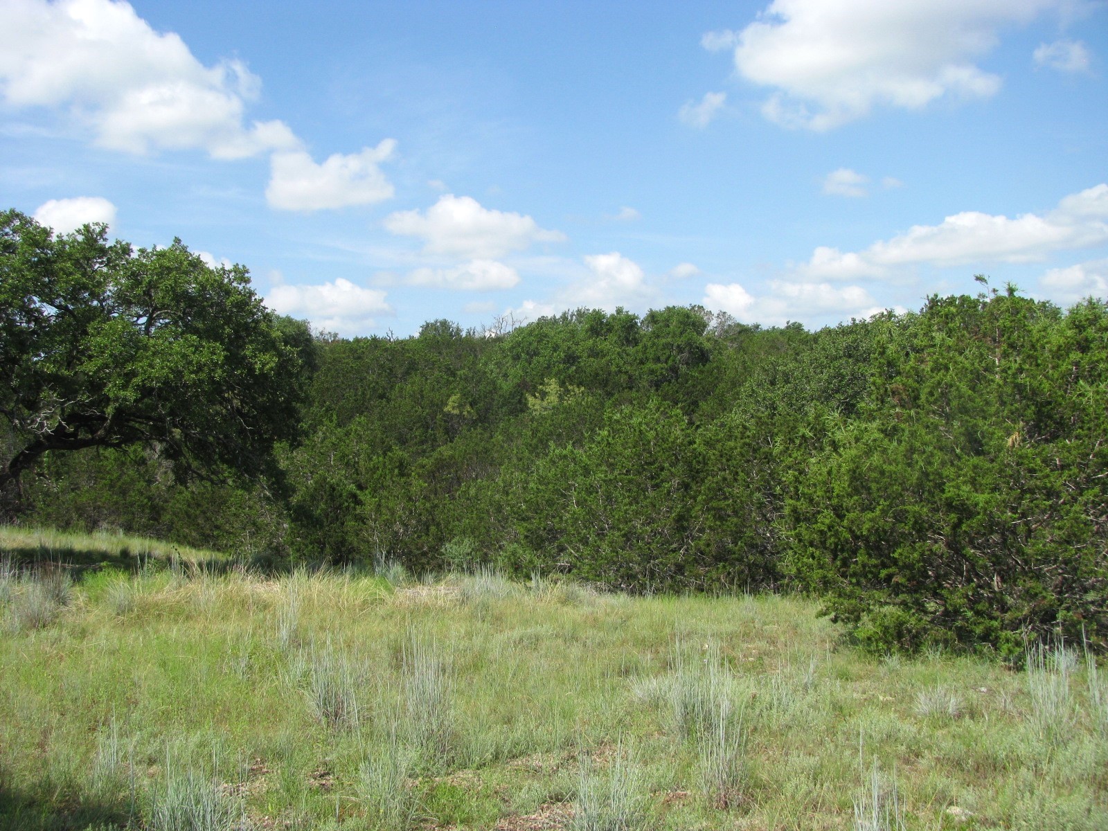 Lot 9 Ph 4 Pr 4212 Evant TX 76525
