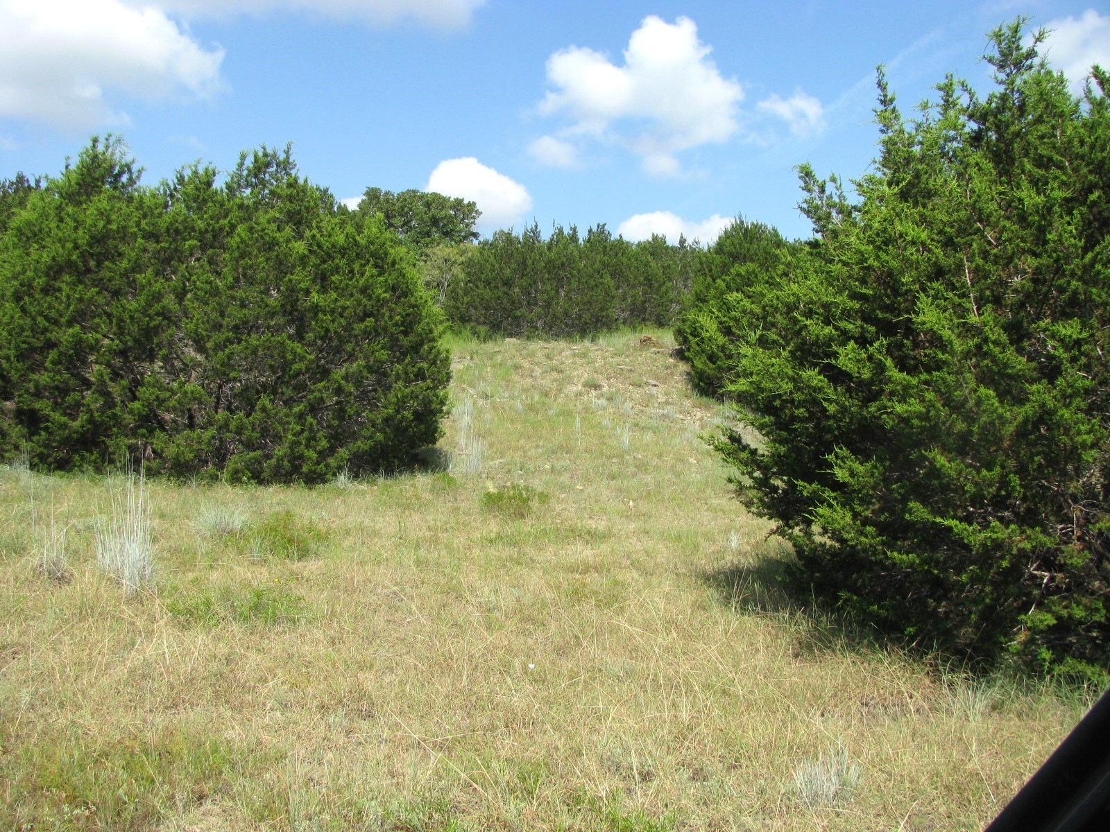Lot 9 Ph 4 Pr 4212 Evant TX 76525