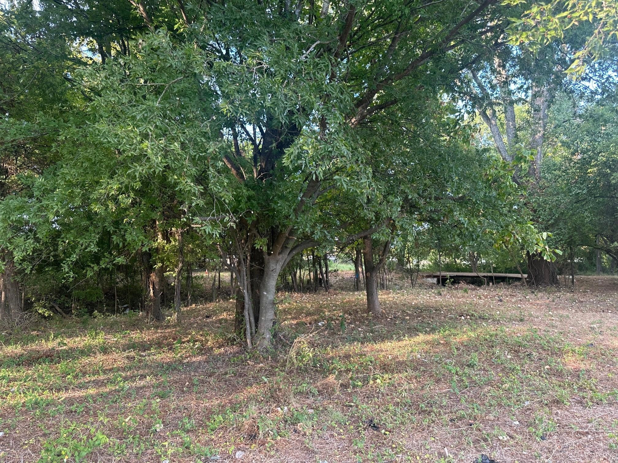 331 E Bear Creek Road Glenn Heights TX 75154