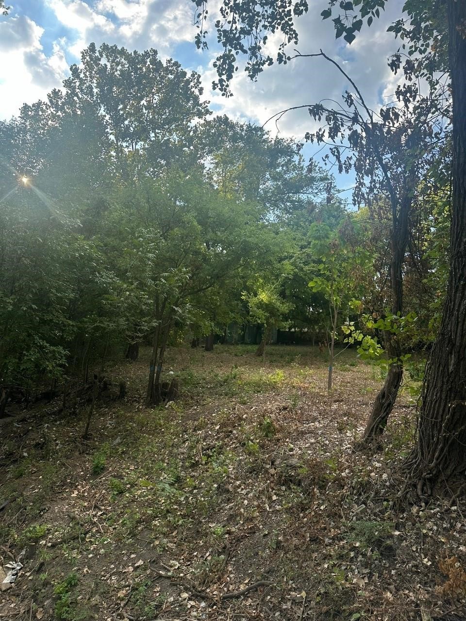 331 E Bear Creek Road Glenn Heights TX 75154