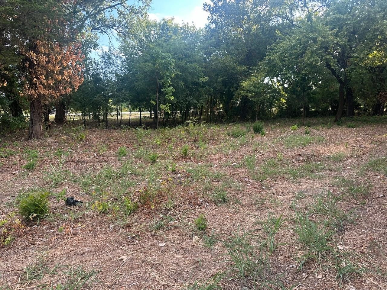 331 E Bear Creek Road Glenn Heights TX 75154