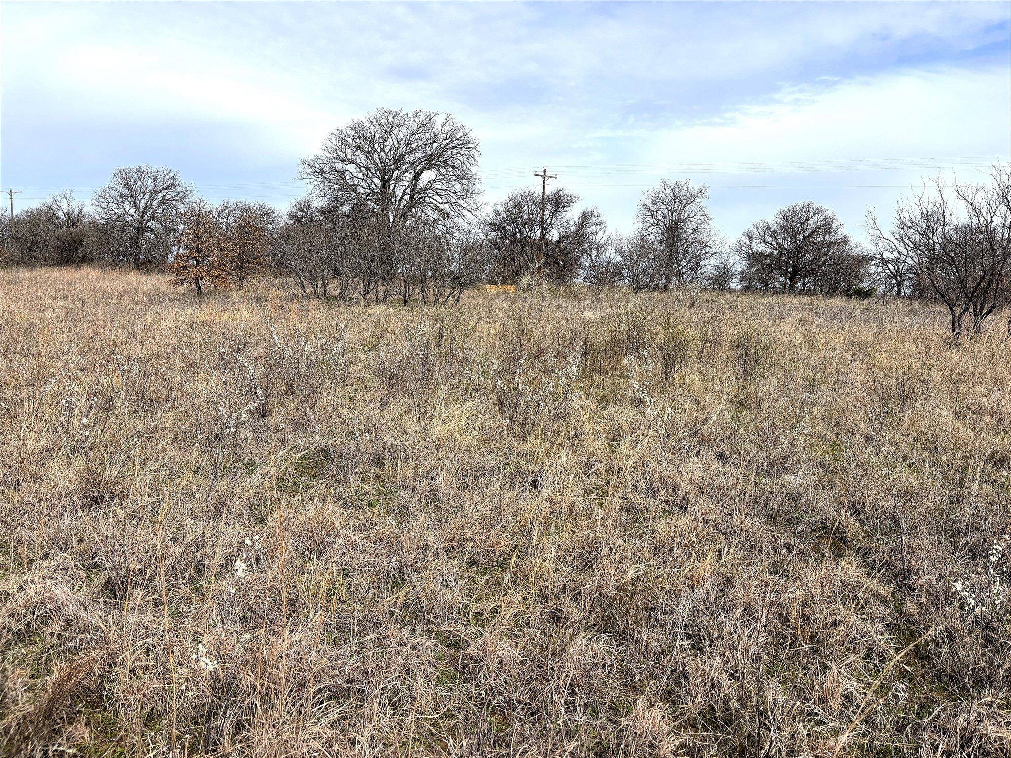 8.39 Acres Fm 174 Henrietta TX 76365
