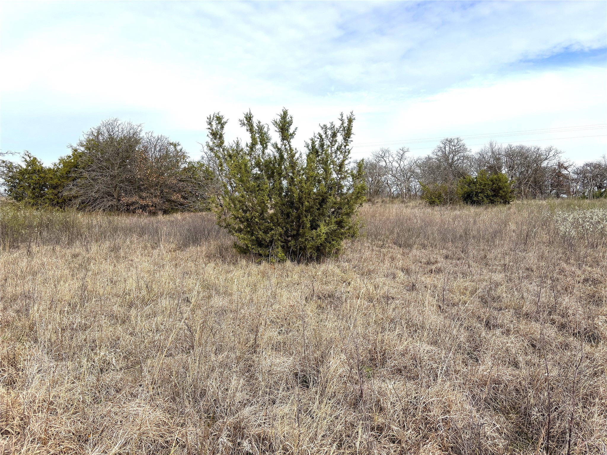 8.39 Acres Fm 174 Henrietta TX 76365