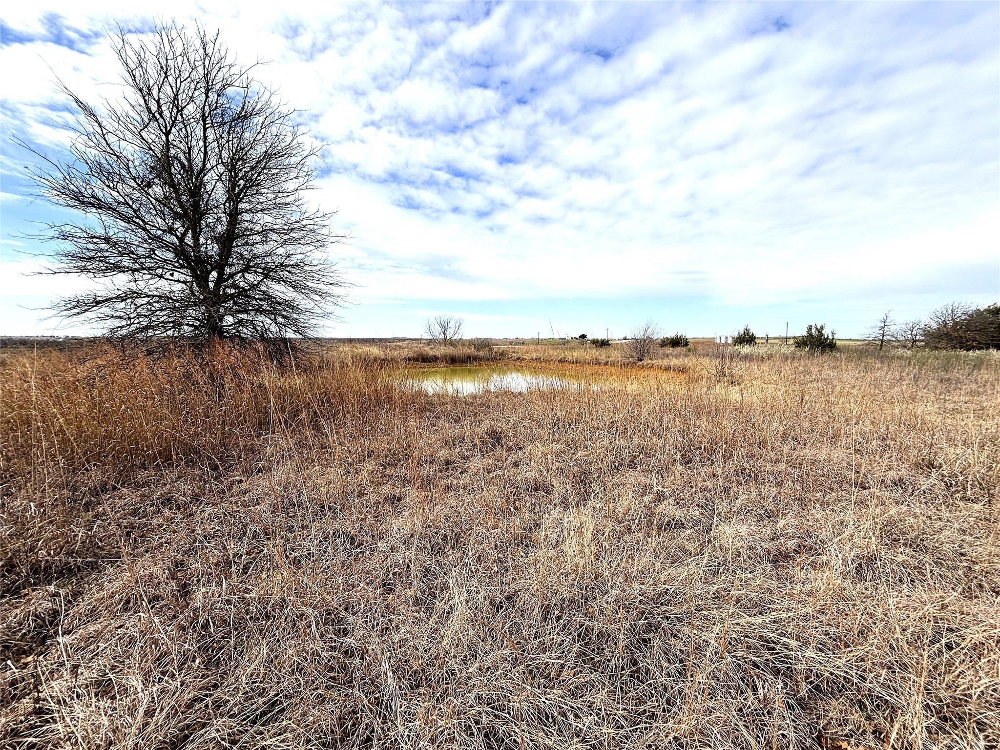 8.39 Acres Fm 174 Henrietta TX 76365