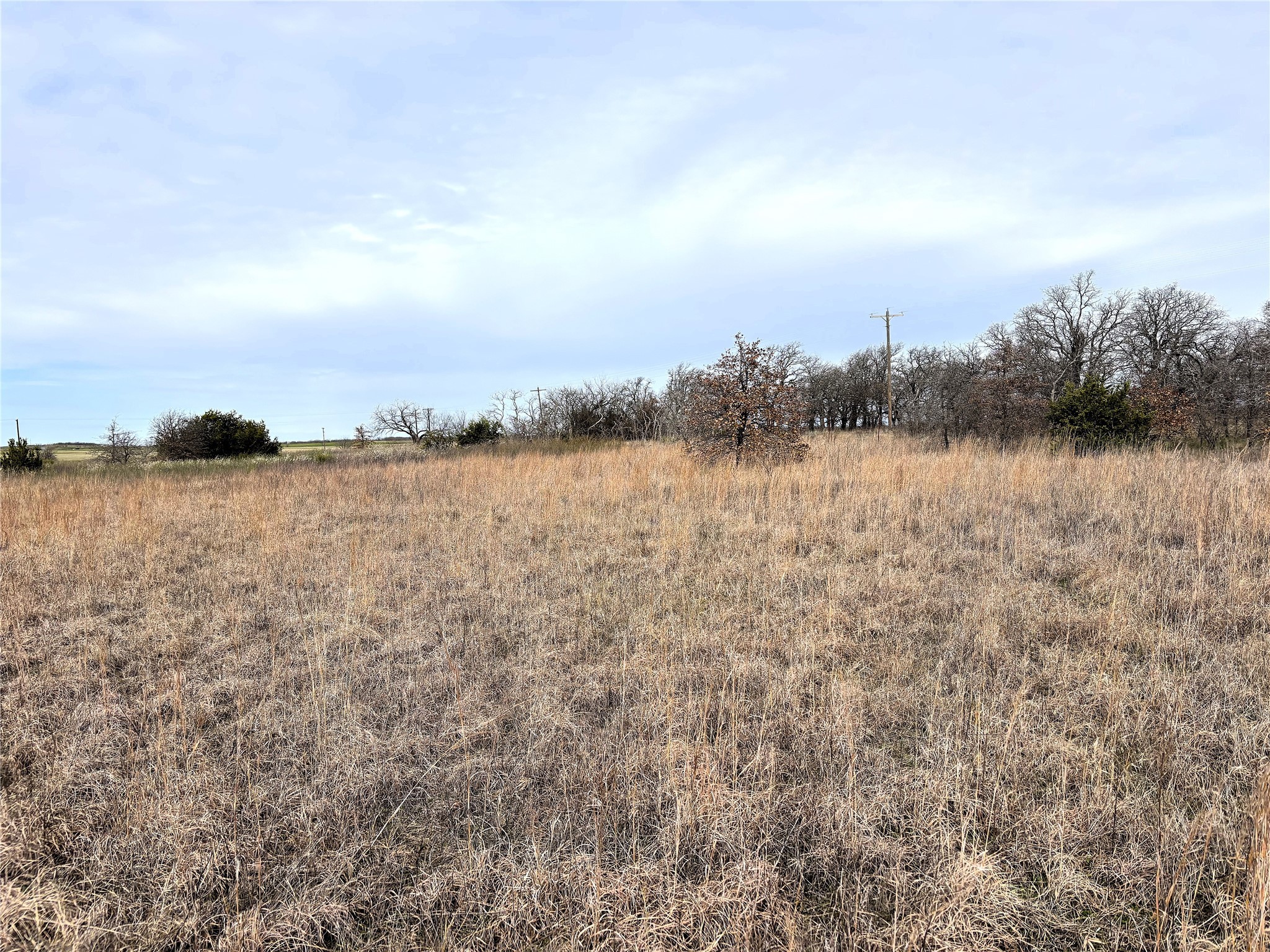 8.39 Acres Fm 174 Henrietta TX 76365