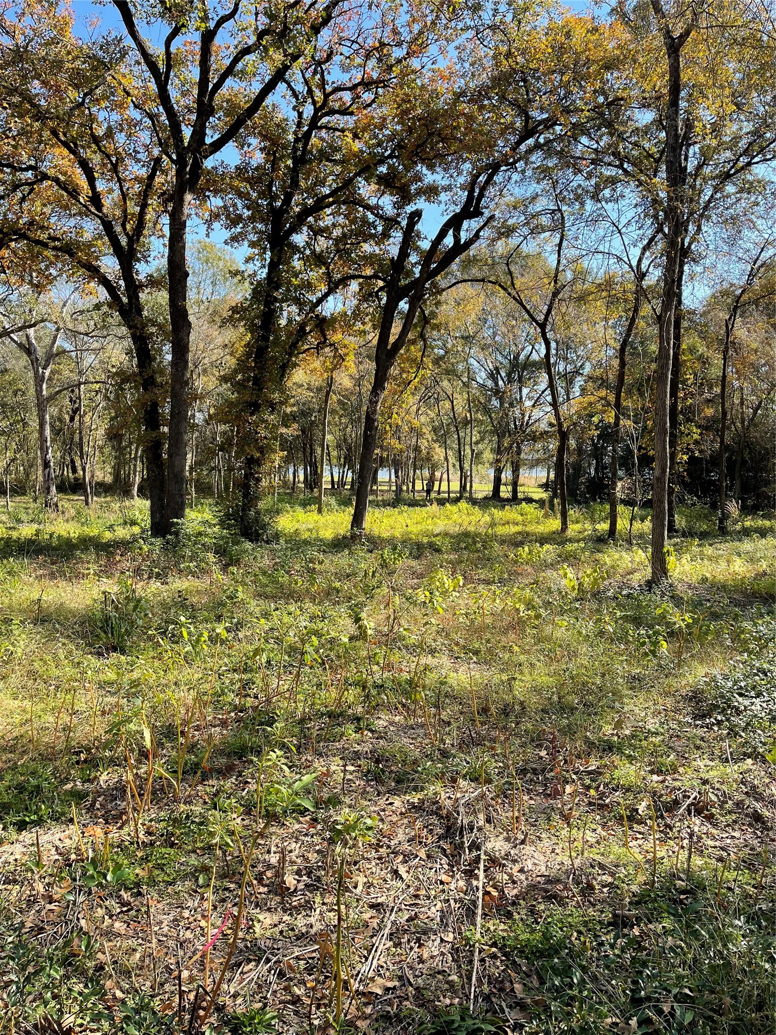 7840 Ranchette Road Eustace TX 75124