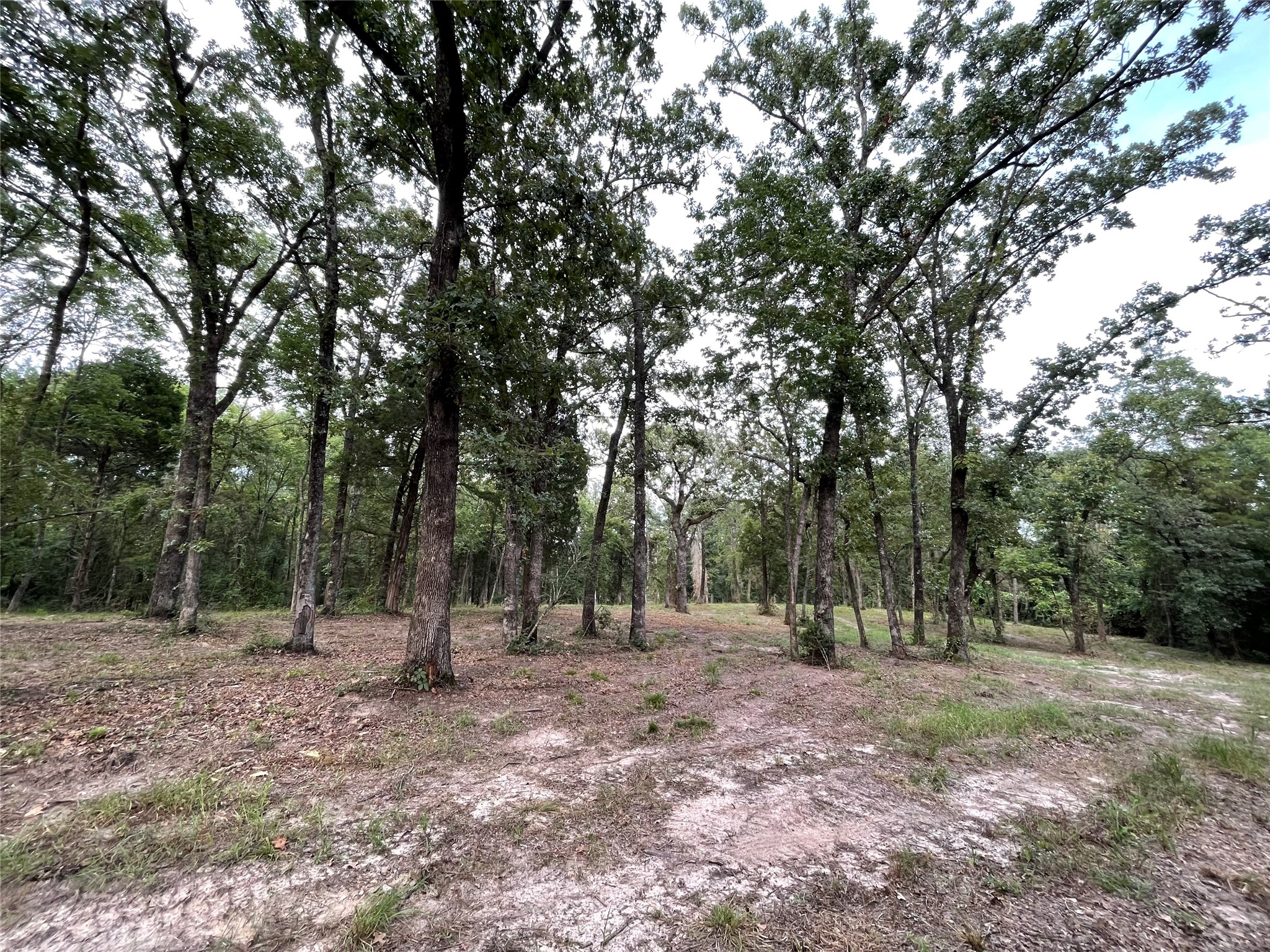 7840 Ranchette Road Eustace TX 75124