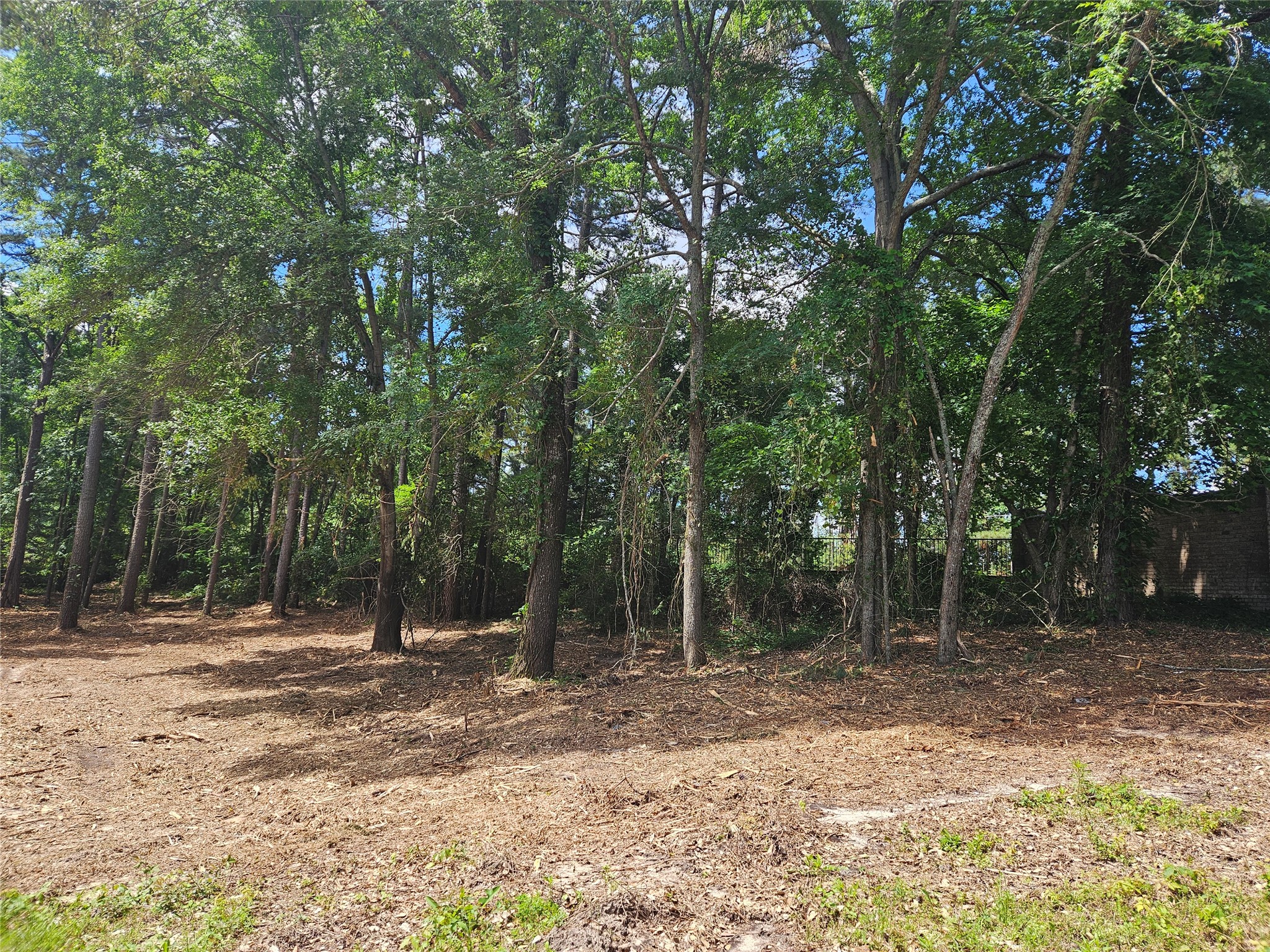 13311 White Tail Drive Tyler TX 75707
