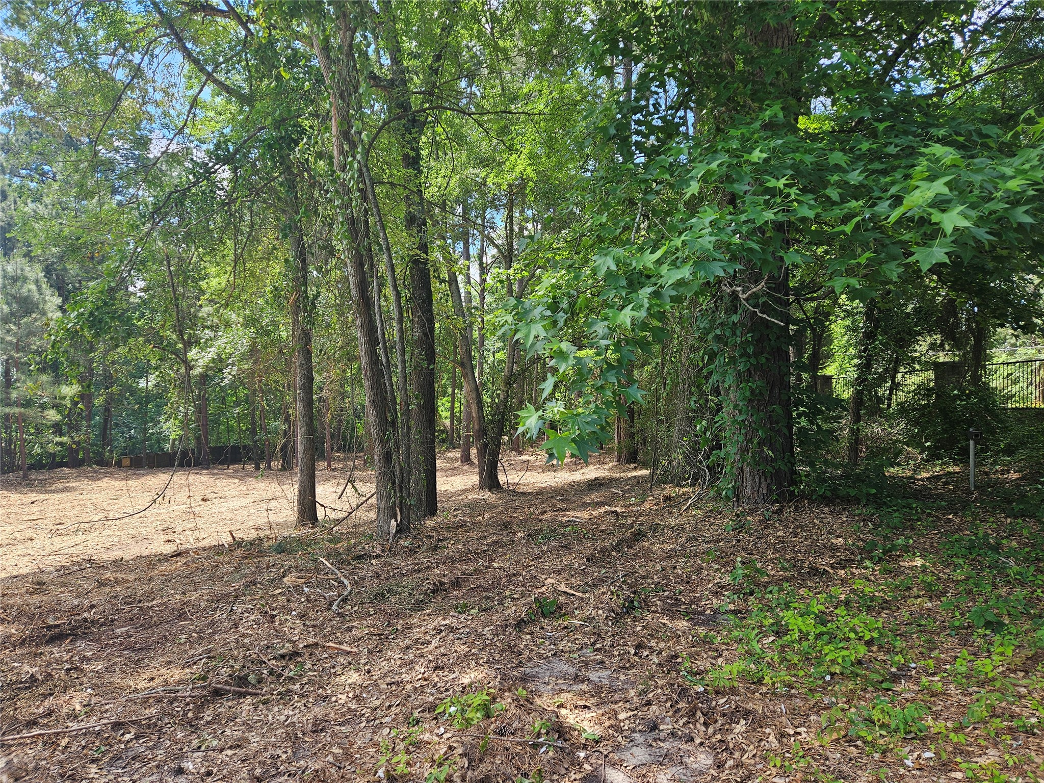 13311 White Tail Drive Tyler TX 75707