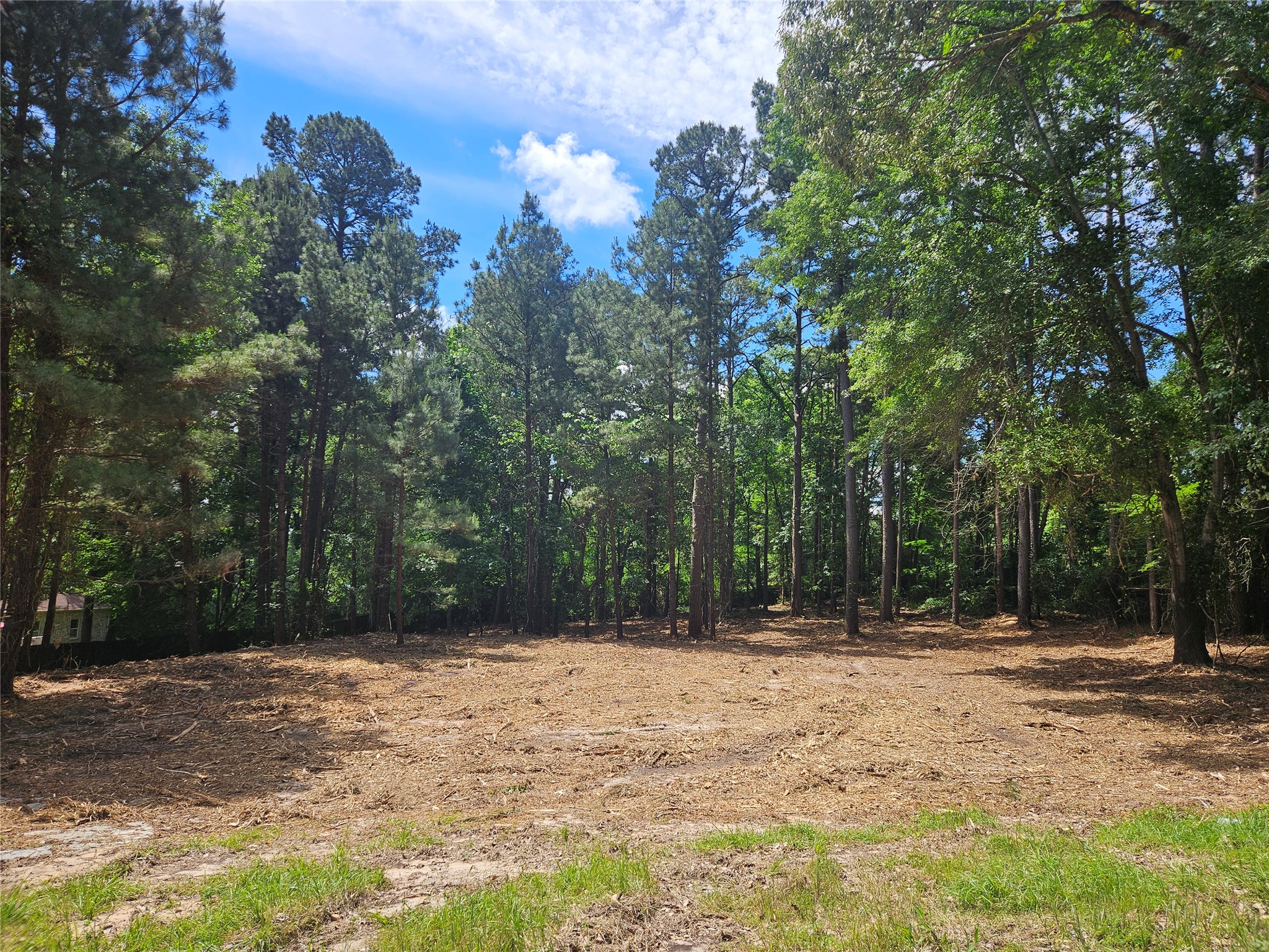 13311 White Tail Drive Tyler TX 75707