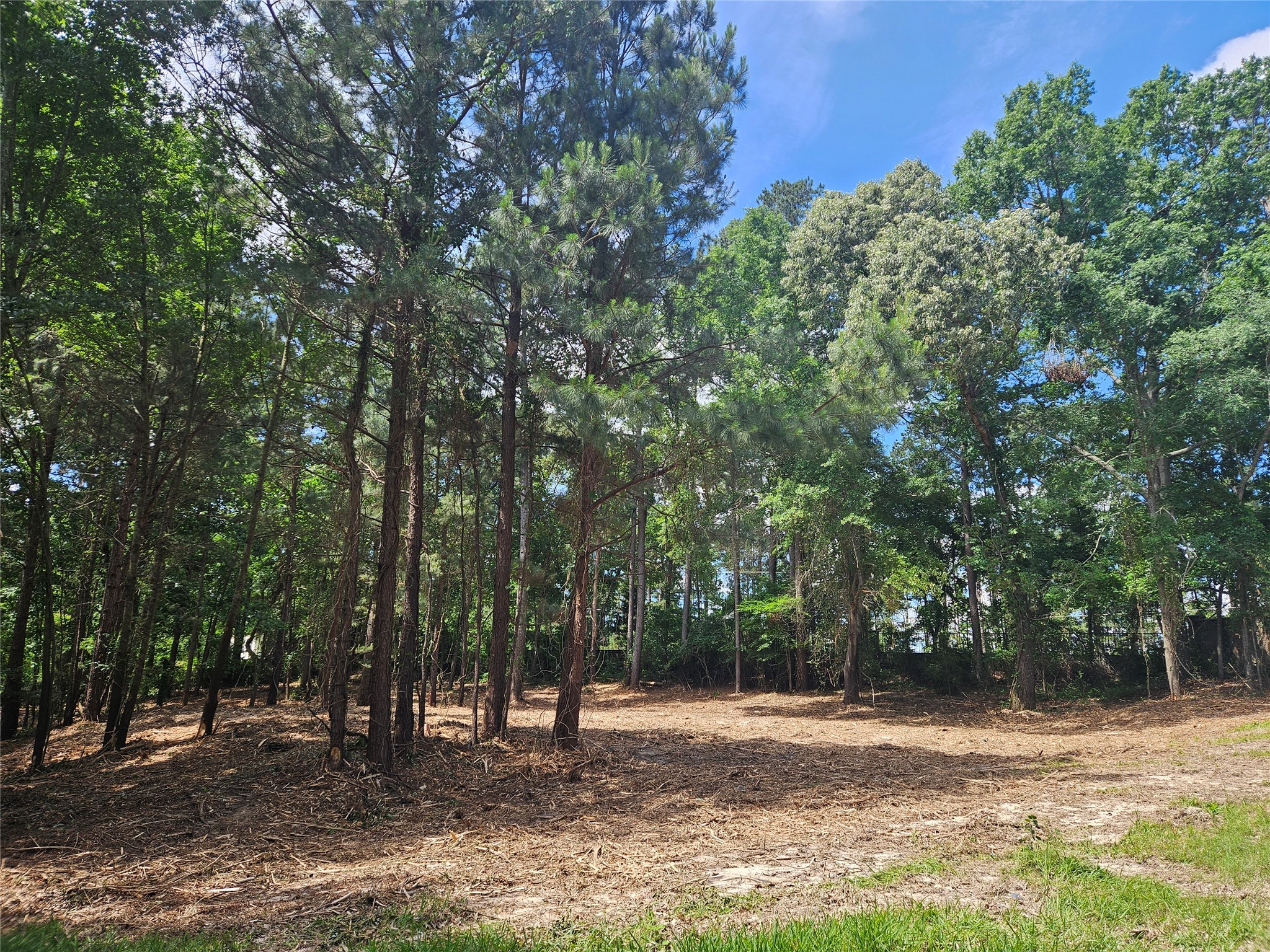 13311 White Tail Drive Tyler TX 75707