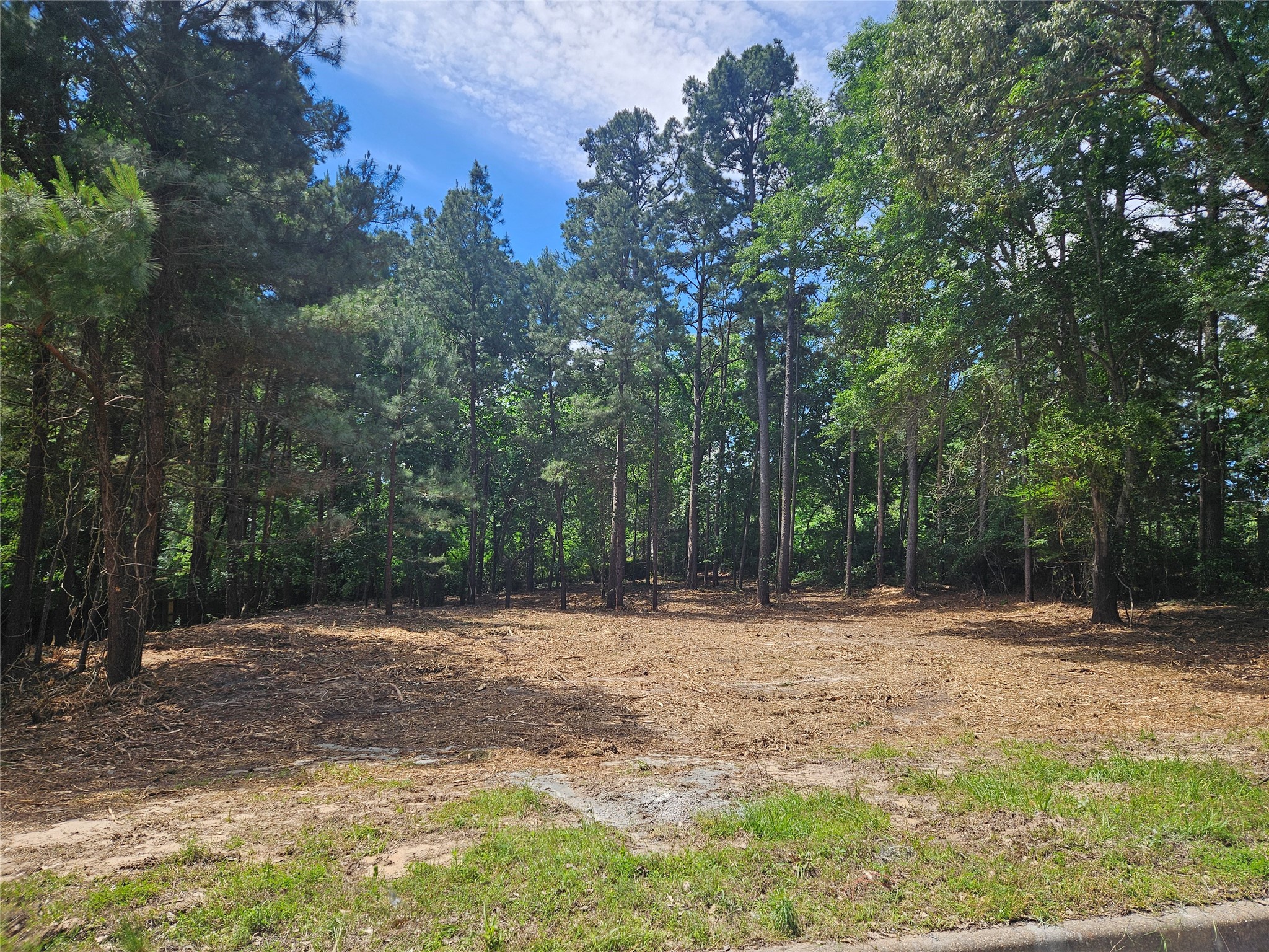 13311 White Tail Drive Tyler TX 75707