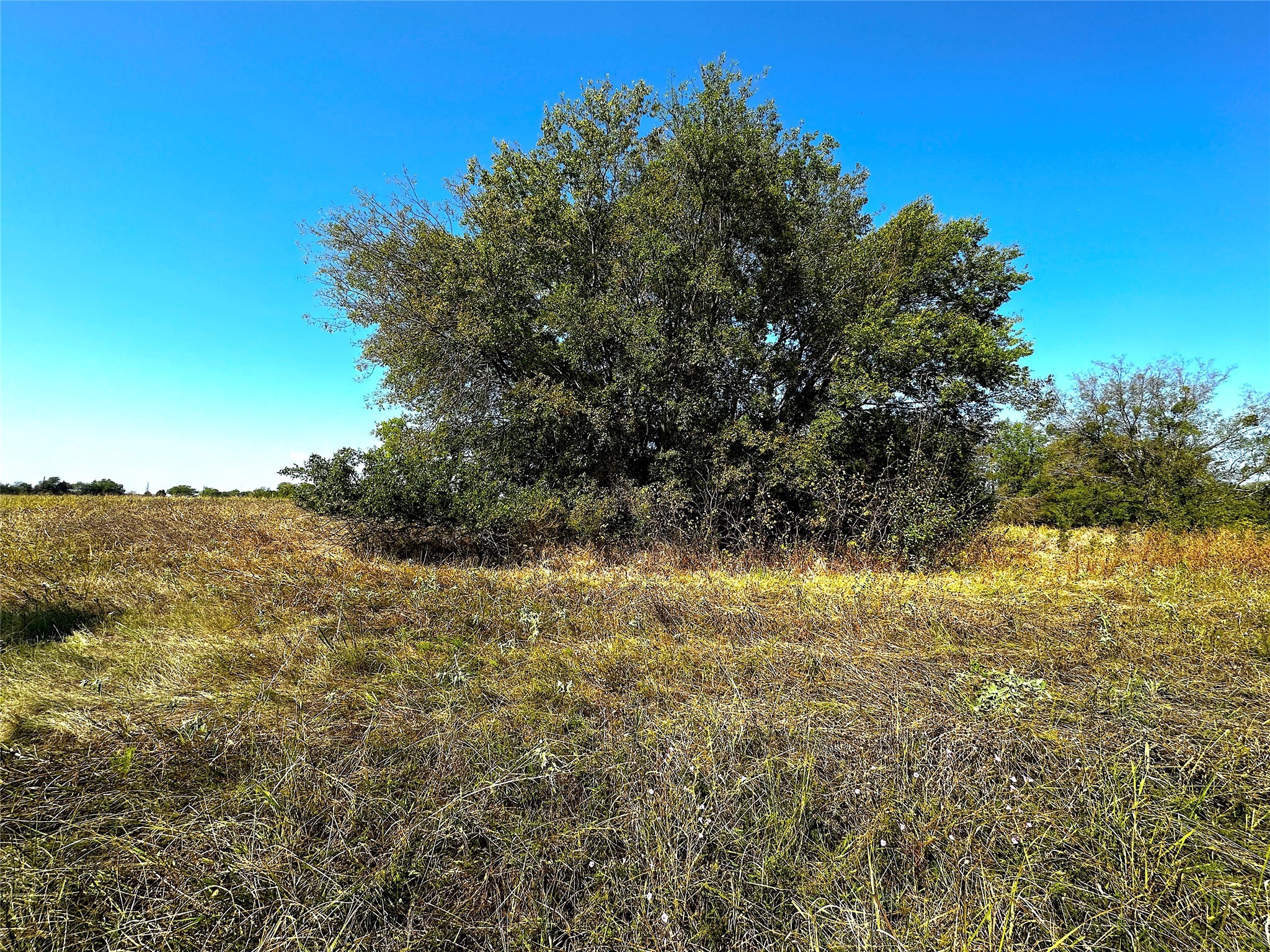 0 Choctaw Trail East Tawakoni TX 75472