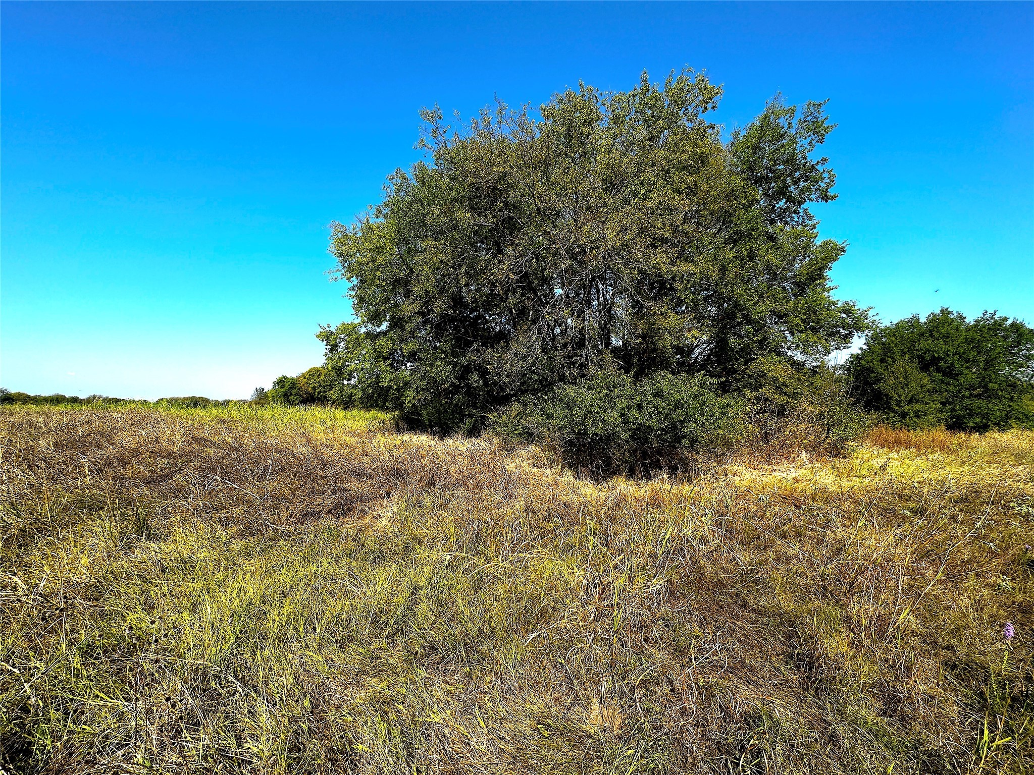 0 Choctaw Trail East Tawakoni TX 75472