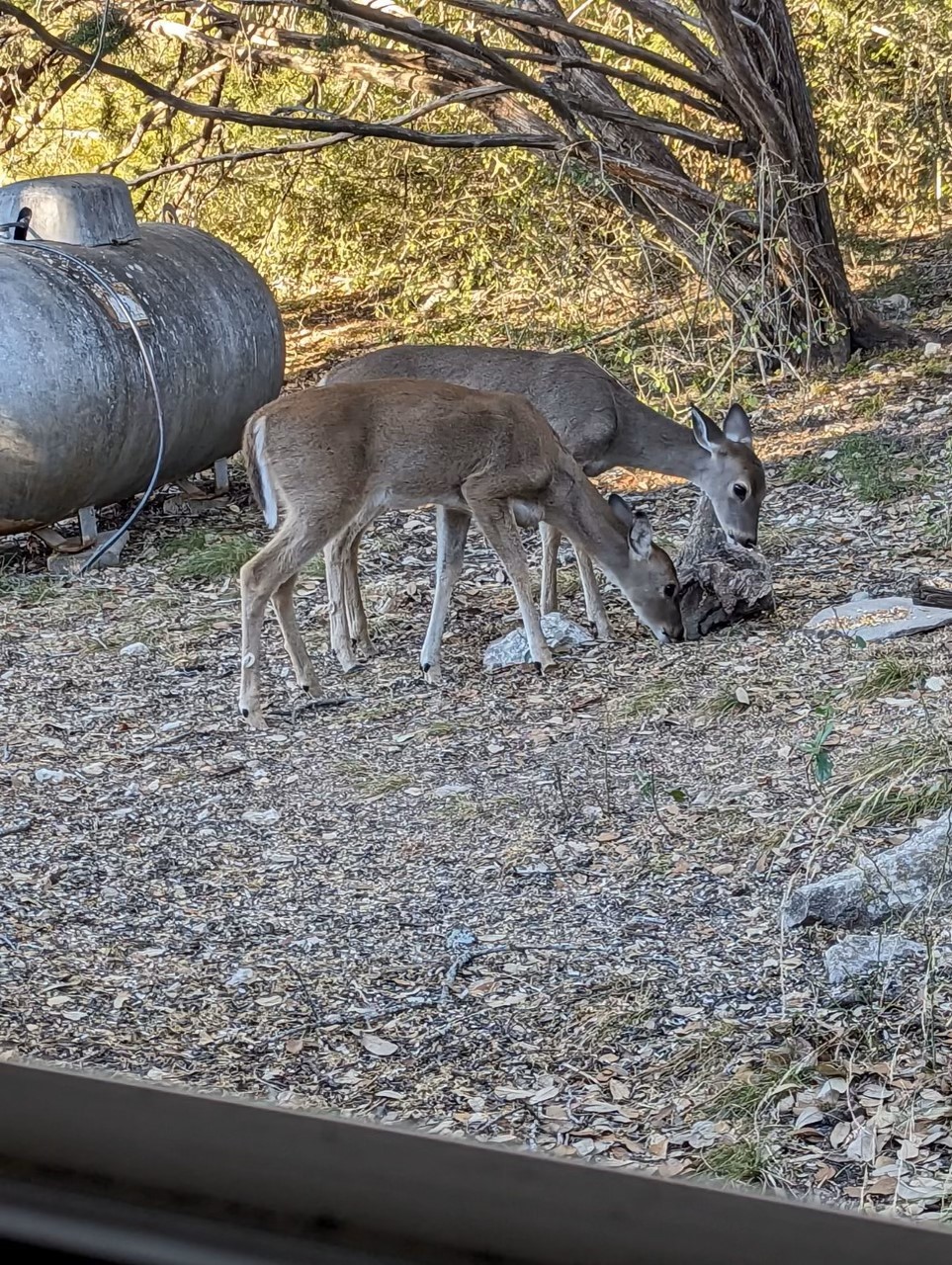 Tbd Baker Ridge Road Sherman TX 75092