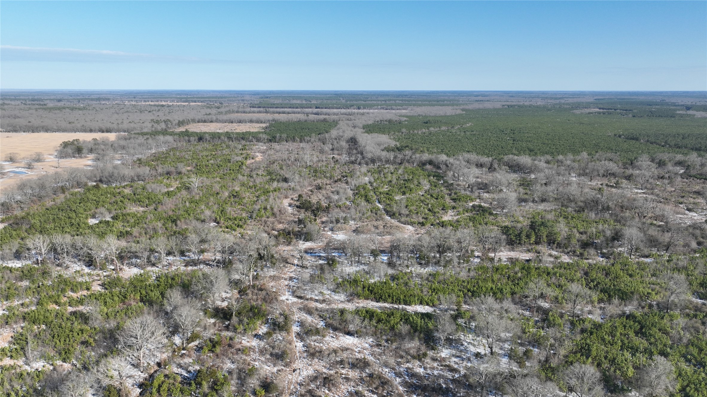 Tbd Fm-195 Bagwell TX 75412