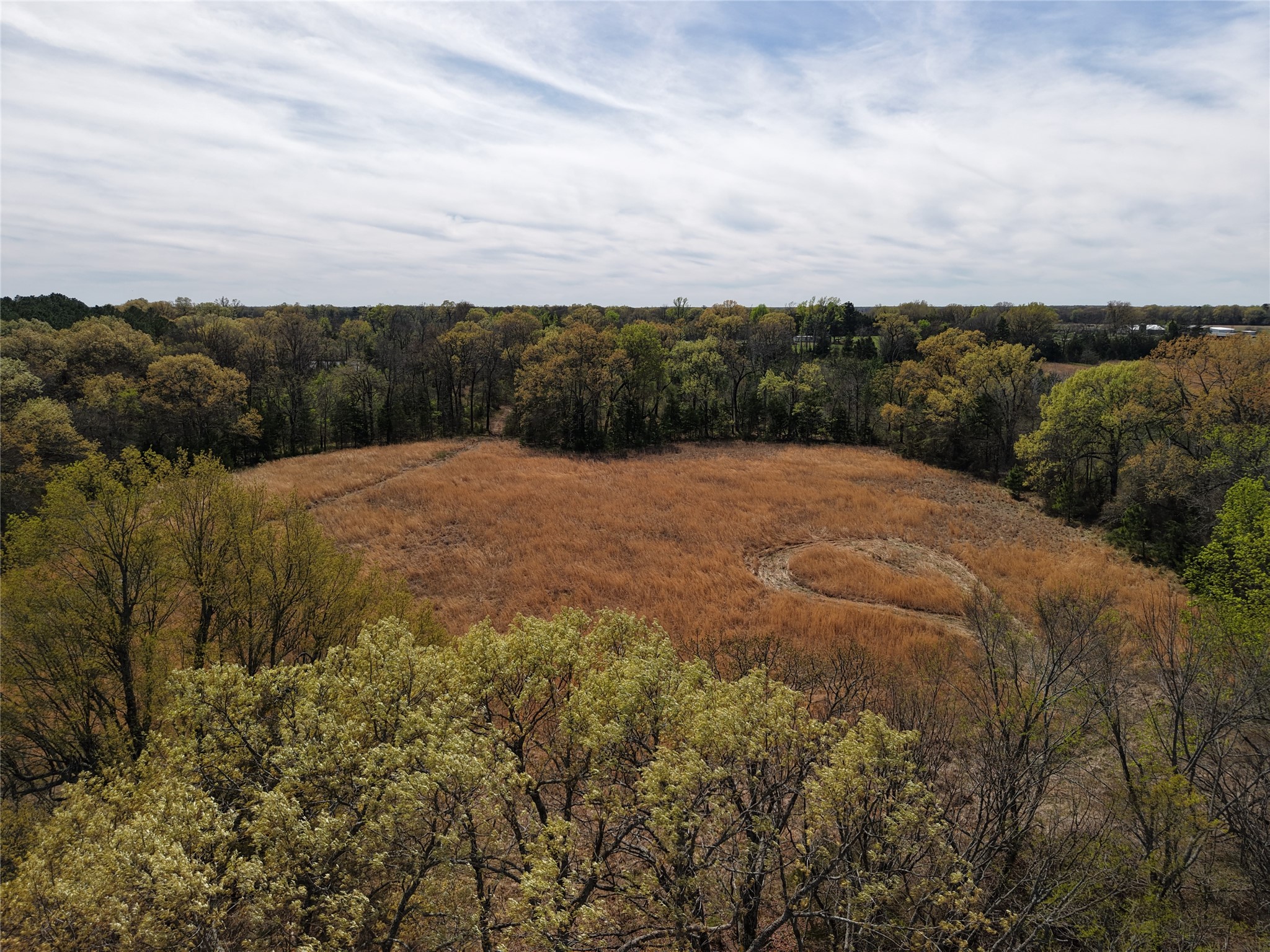 Tbd Fm-195 Bagwell TX 75412