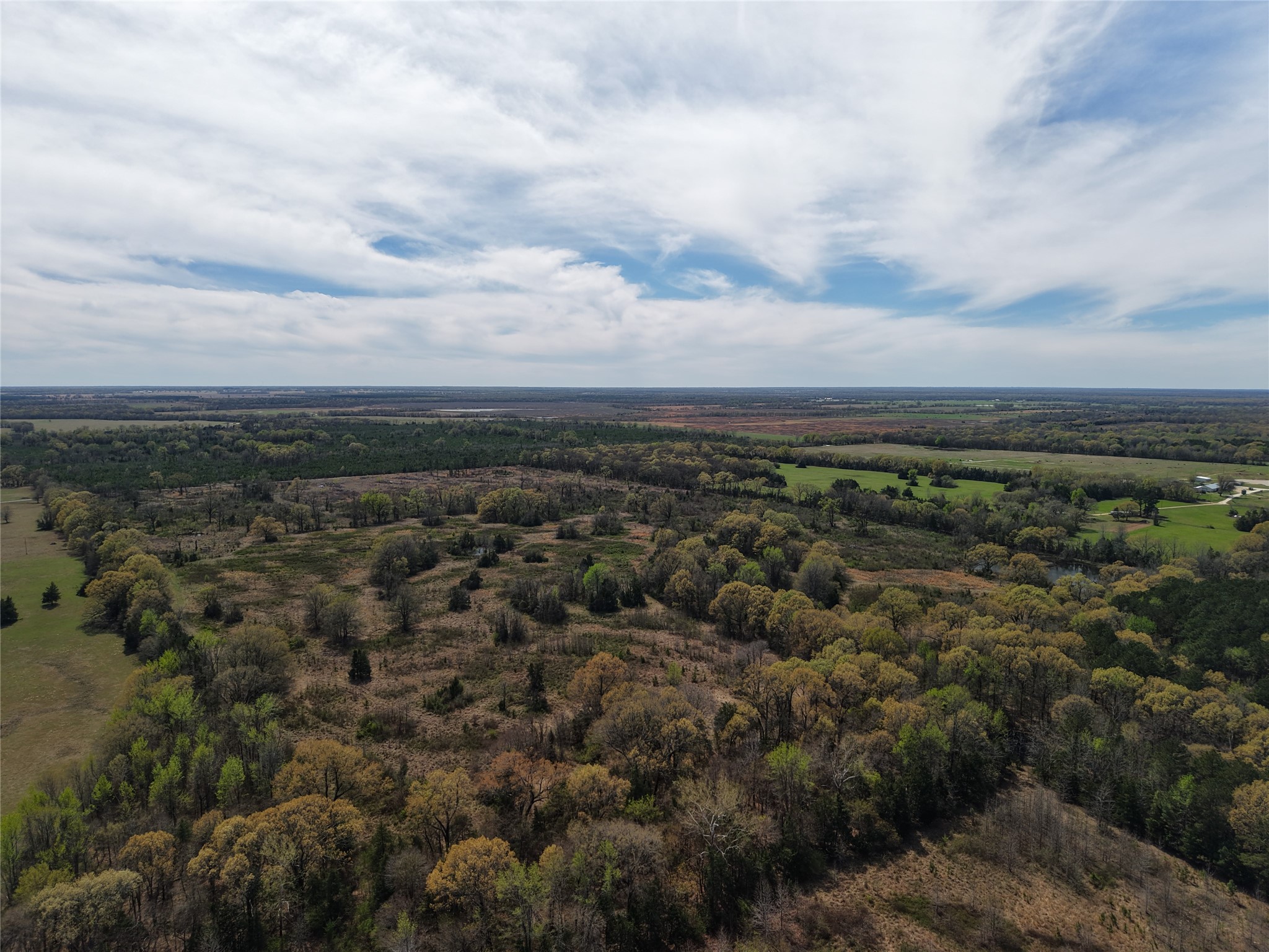 Tbd Fm-195 Bagwell TX 75412