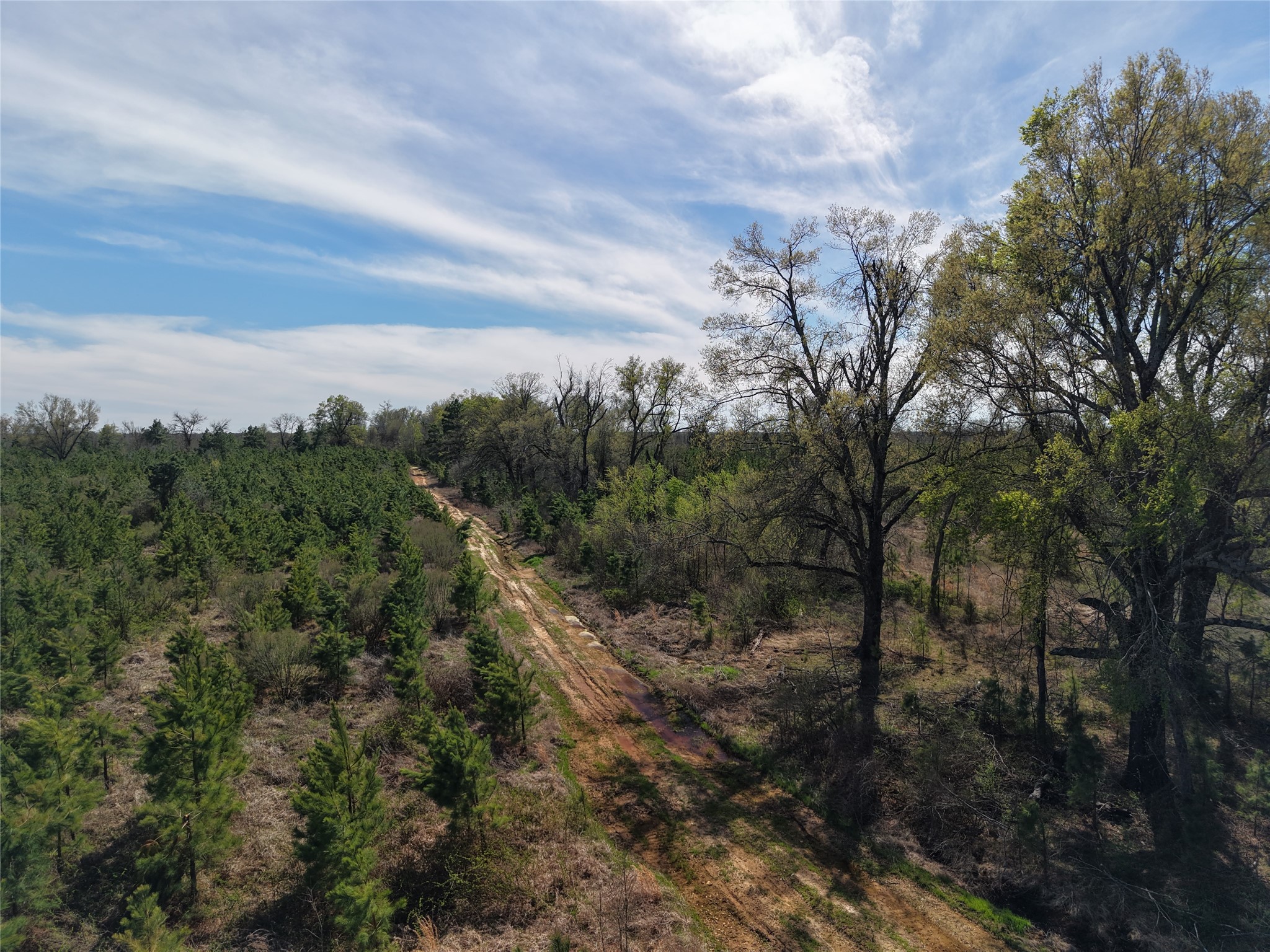 Tbd Fm-195 Bagwell TX 75412