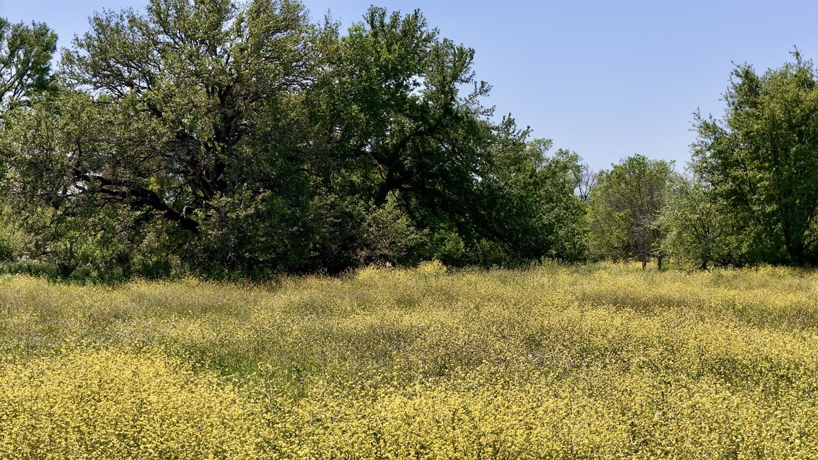 2031-D County Road 3310 Valley Mills TX 76689