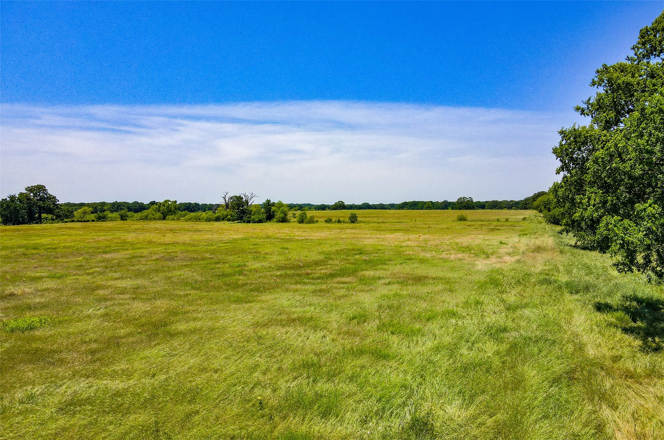 Tbd Lot 1 Fm 148 Scurry TX 75158