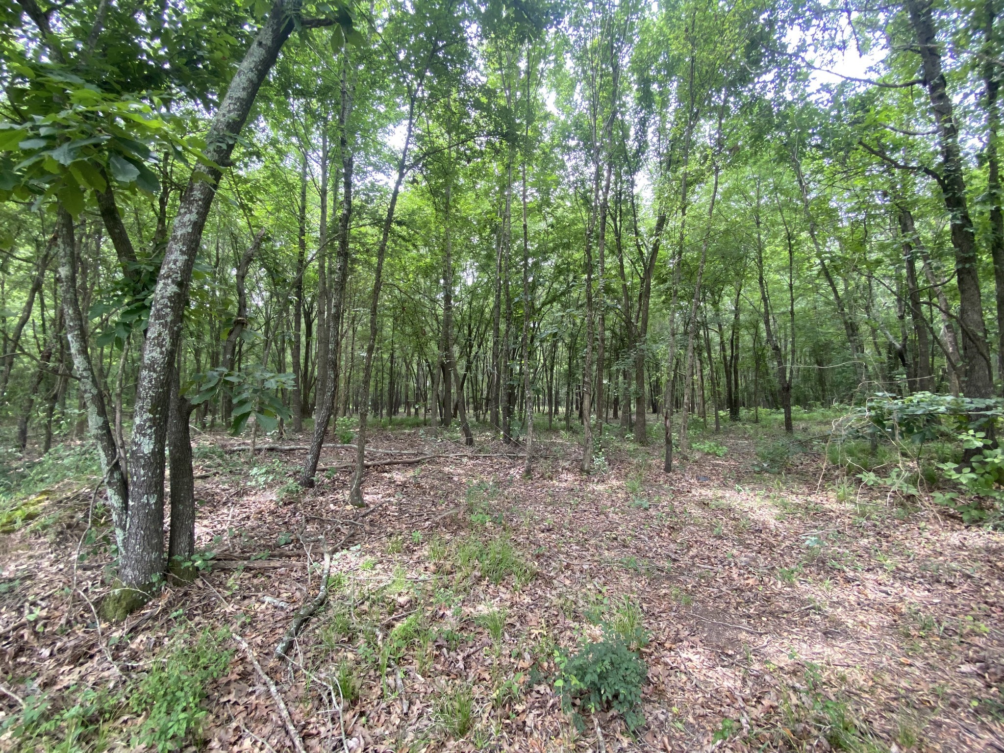 Lot 10 & 11 Cr 3920 Mt Pleasant TX 75455