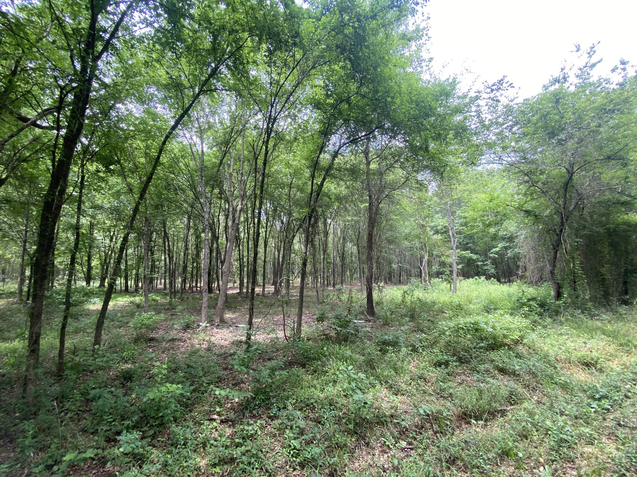 Lot 10 & 11 Cr 3920 Mt Pleasant TX 75455