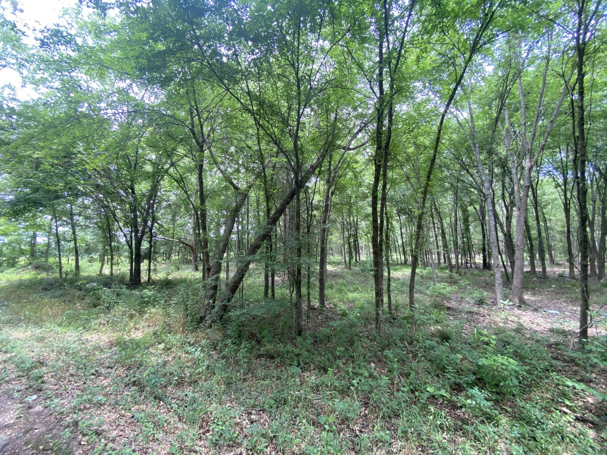 Lot 10 & 11 Cr 3920 Mt Pleasant TX 75455