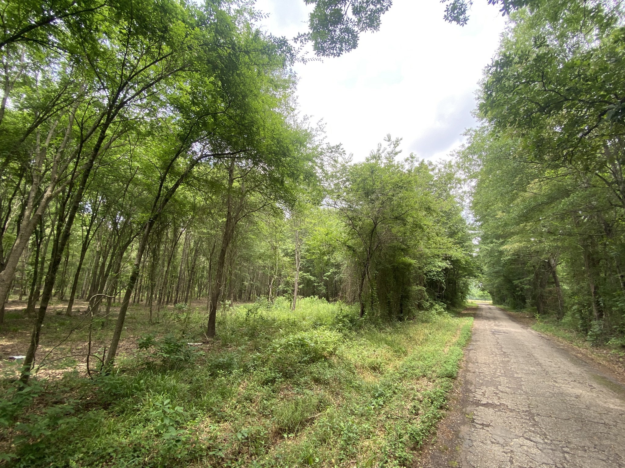 Lot 10 & 11 Cr 3920 Mt Pleasant TX 75455