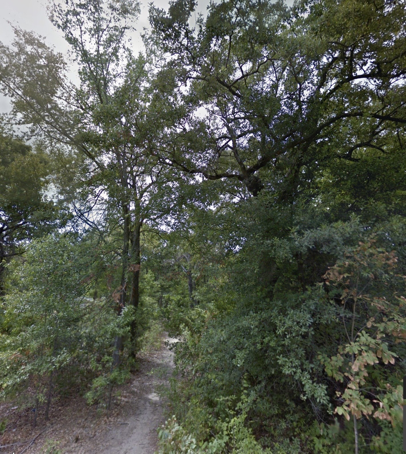 191 Coahoma Street Mabank TX 75156