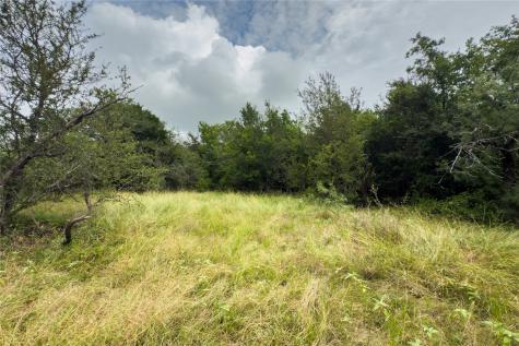 Lot 4 County Road 173 Marlin TX 76661
