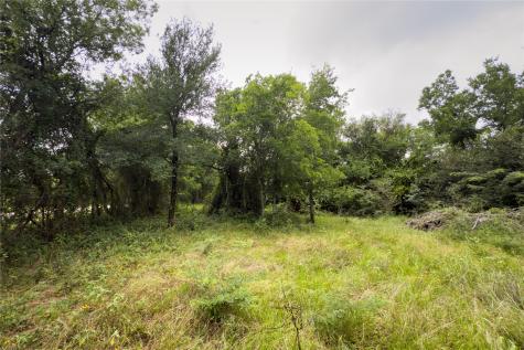 Lot 4 County Road 173 Marlin TX 76661