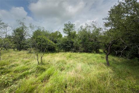 Lot 4 County Road 173 Marlin TX 76661