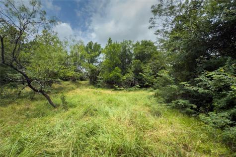 Lot 4 County Road 173 Marlin TX 76661