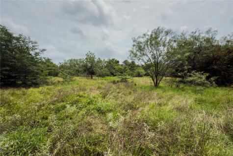 Lot 4 County Road 173 Marlin TX 76661