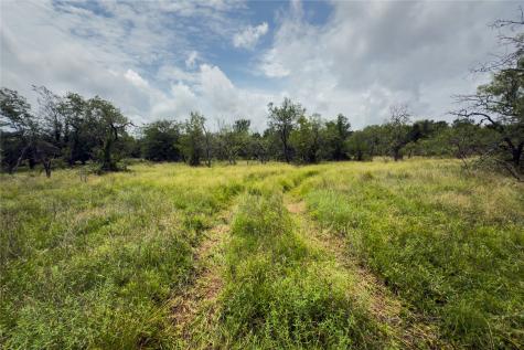 Lot 4 County Road 173 Marlin TX 76661