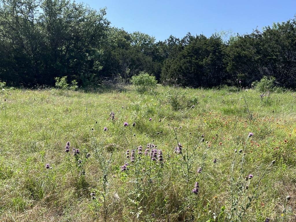 Highway 16 Co Road 494 Co Road 494 Ranger TX 76470